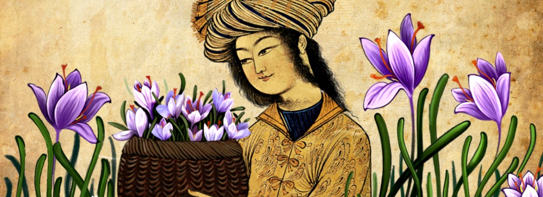 baner zarparane baner zarparane